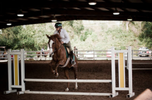 RoseAnn taking a jump with Splash at a local show.