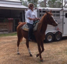 Out for a trail ride on Lady