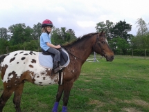 Olivia (age 8) riding Kasey