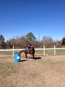 Nice lighted dirt arena for barrels and dressage