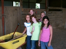 Learning to take care of horses