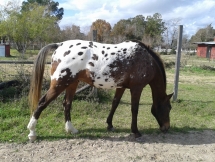 It was a long rehab, but he is looking and feeling great.