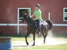 Black doing a riding lesson.