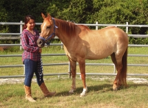 Horse and owner just enjoying time together