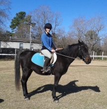 One of his riders working him in English saddle