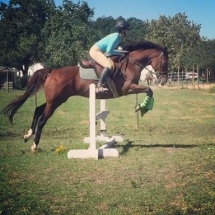 Savannah practice jumps on John (Soup of the Day)