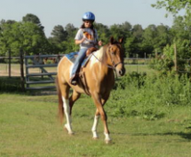 Mira riding lesson on Big Chief