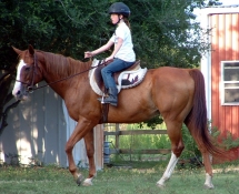 Riding at summer camp